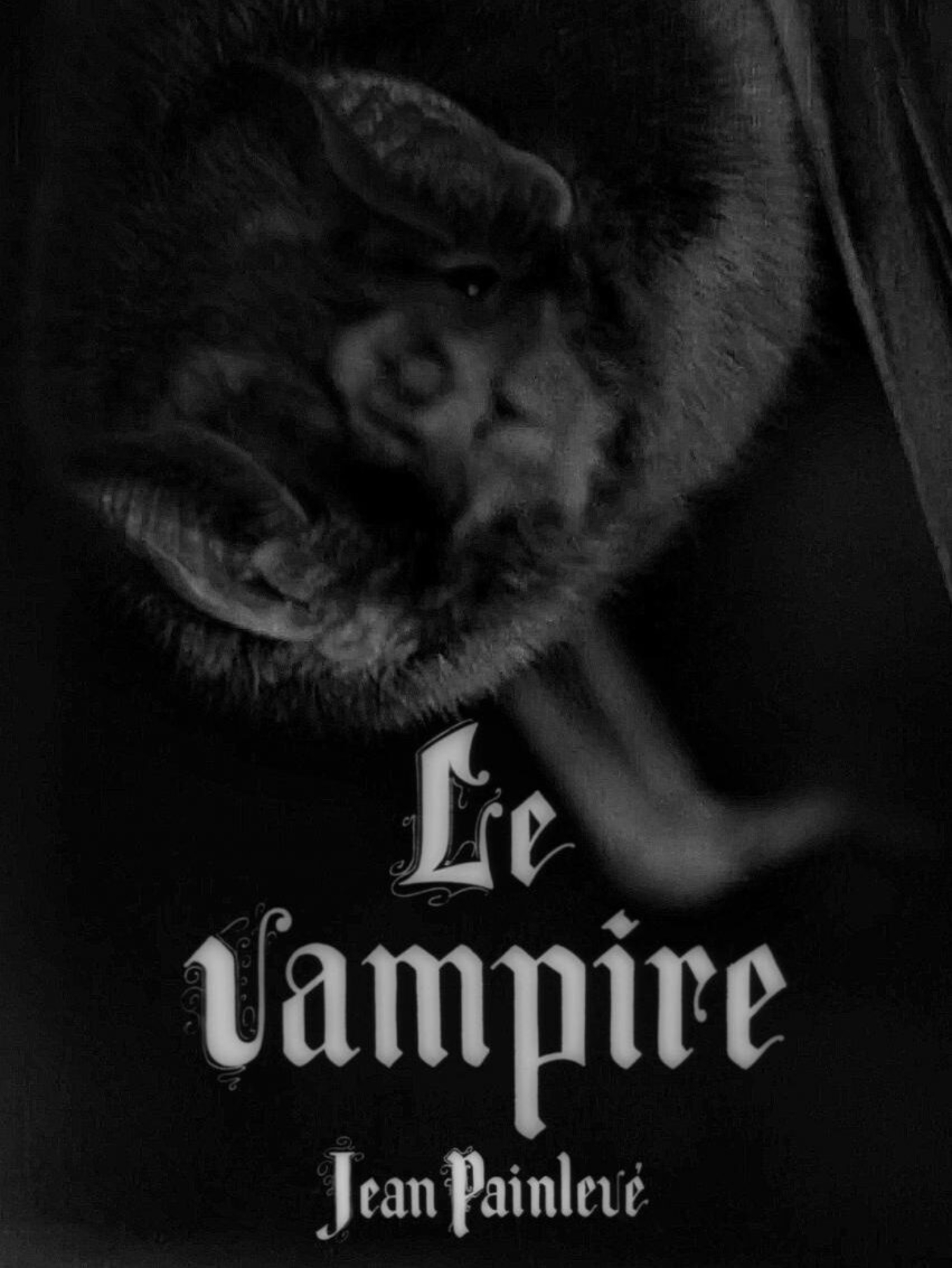 Affiche du film Le Vampire de Jean Painlevé, 1945