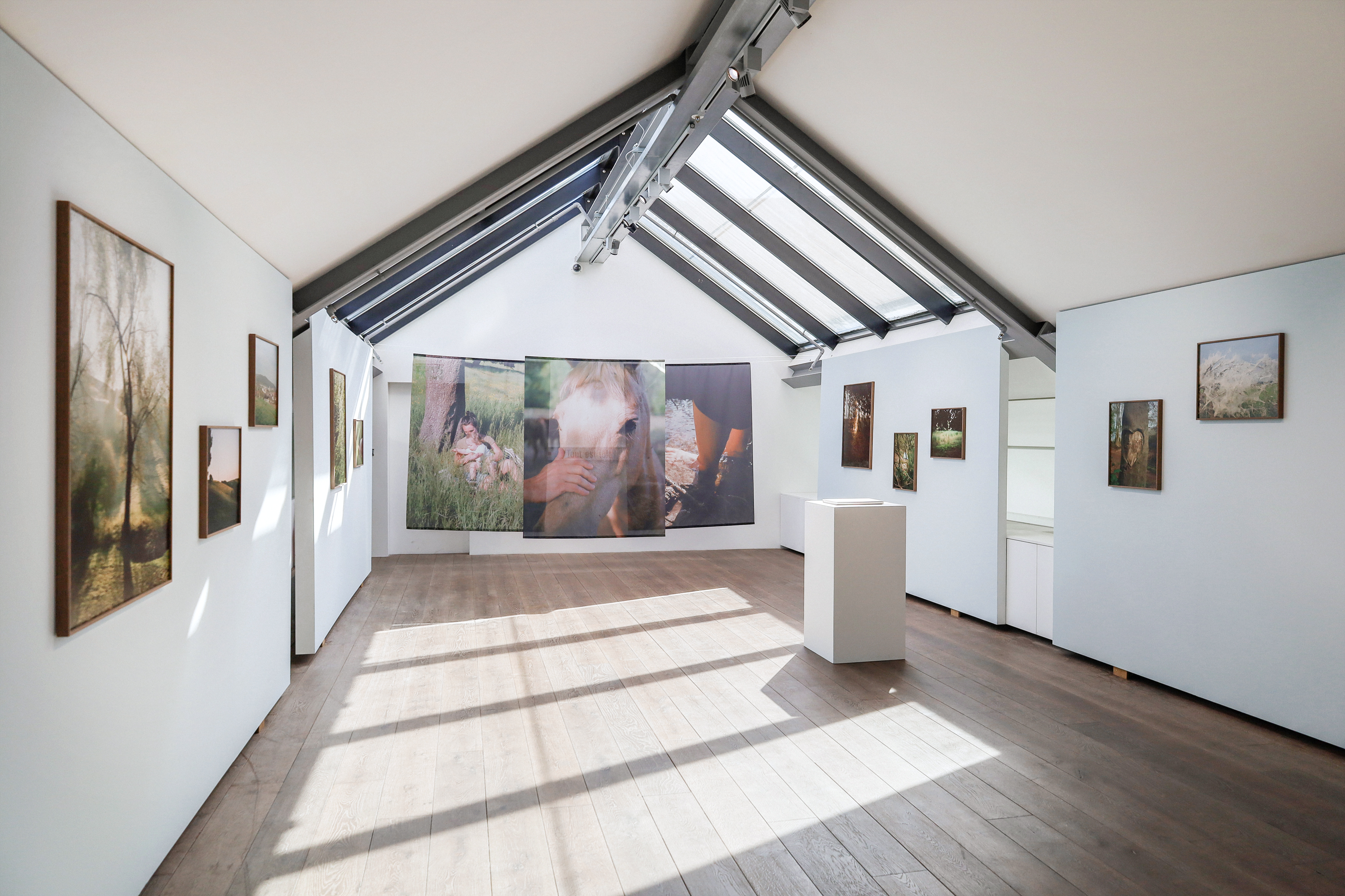 1630 Oasis Solo Show Matthieu Litt May June 2025 Hangar C Zoe De Meulemeester