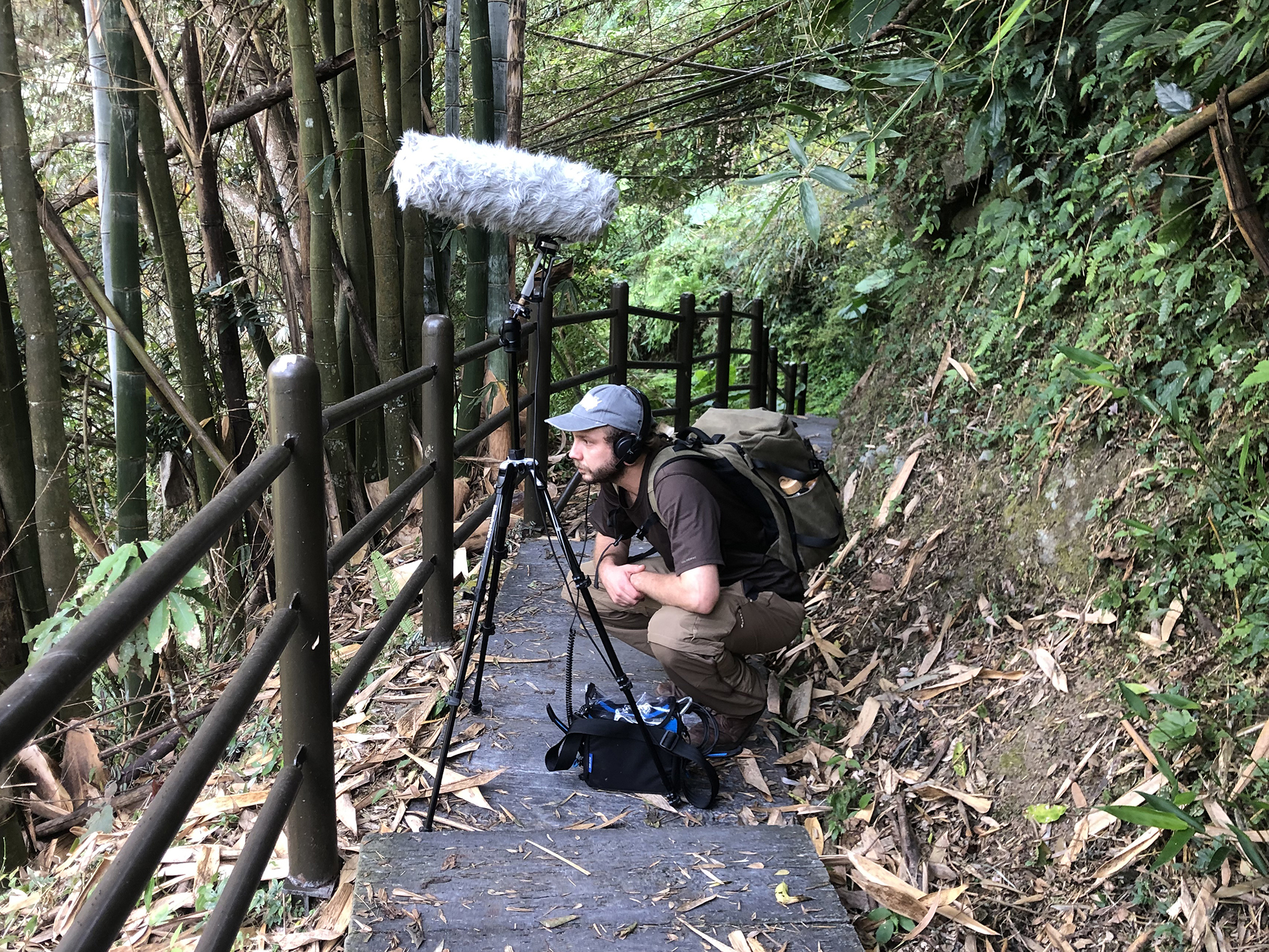 © Erpelding Sam, Academica Sinica Taiwan