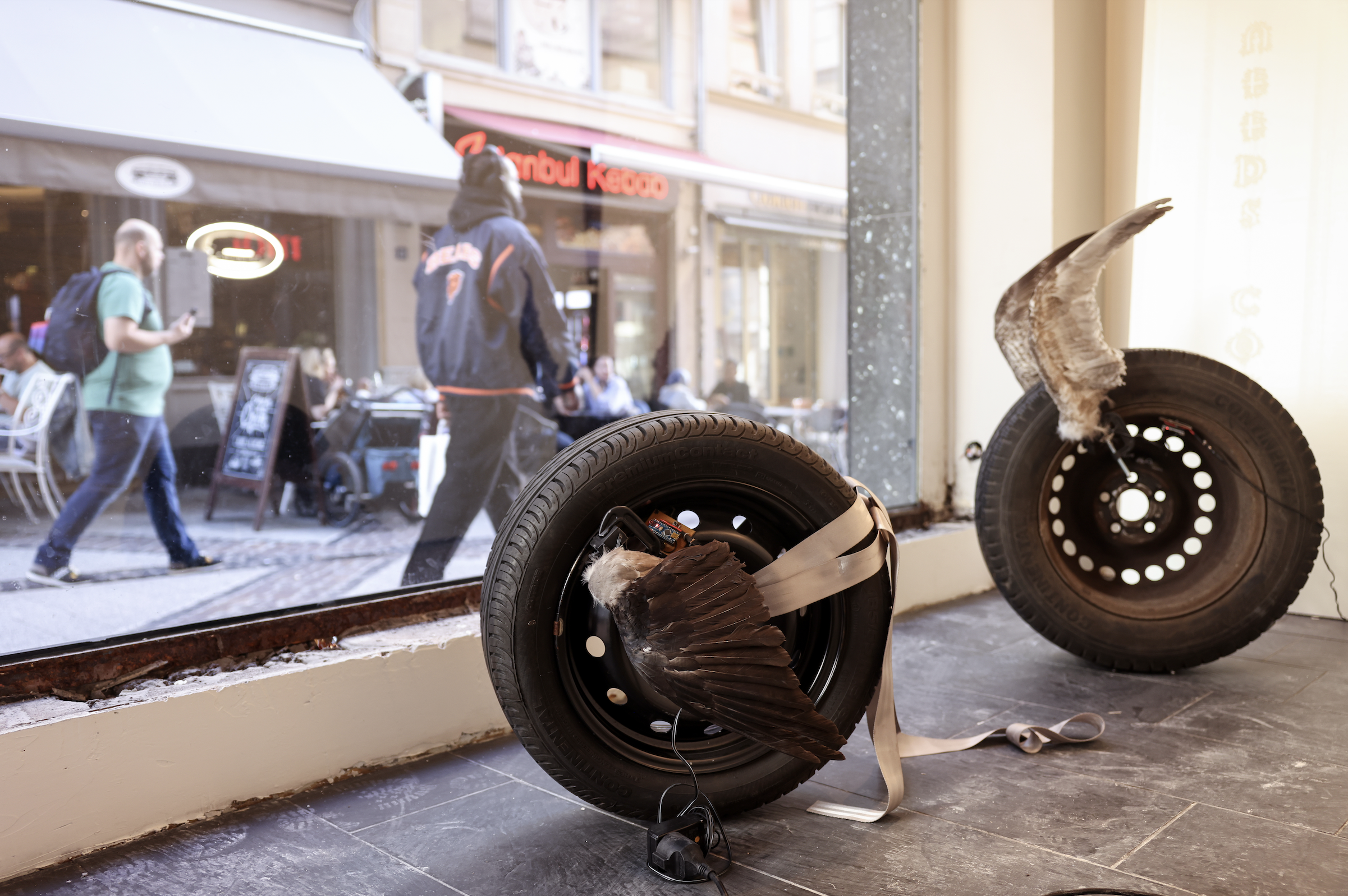 Hanna Antonsson, Auto Wings – Capsules, Luxembourg Art Week 2024 © Sophie Margue