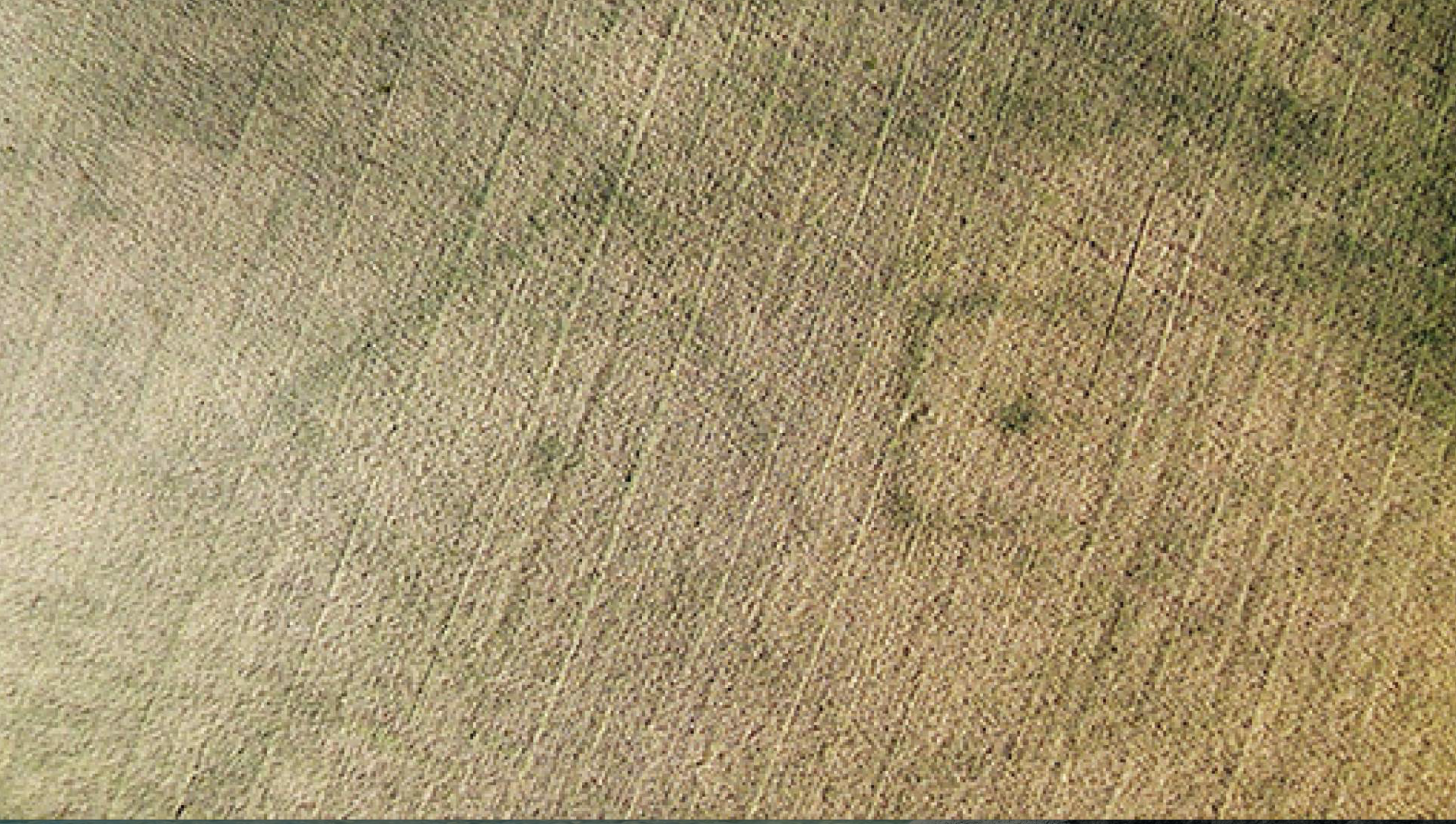 Capture Decran 2025 11 15 A 1242 58