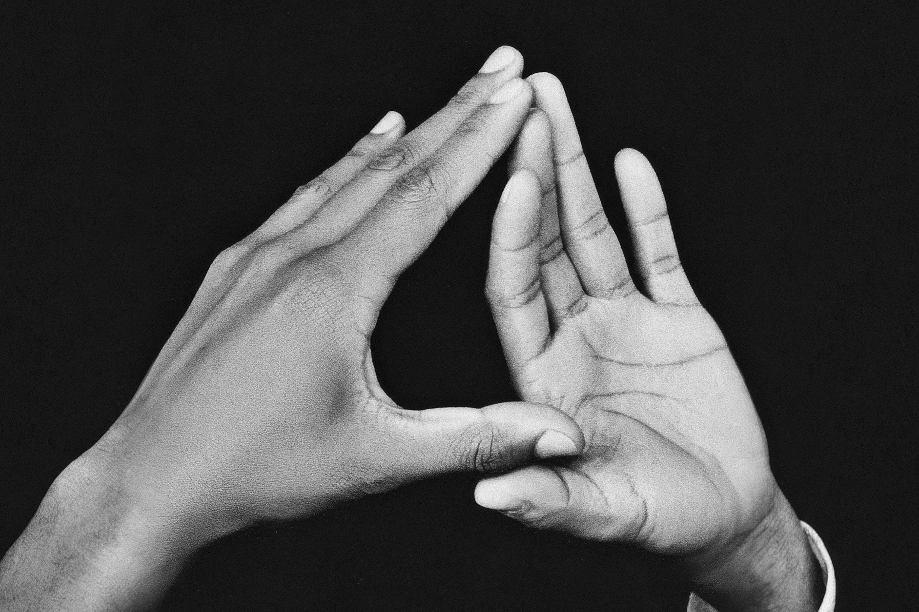 Endangered Gestures © Bruce Eesly