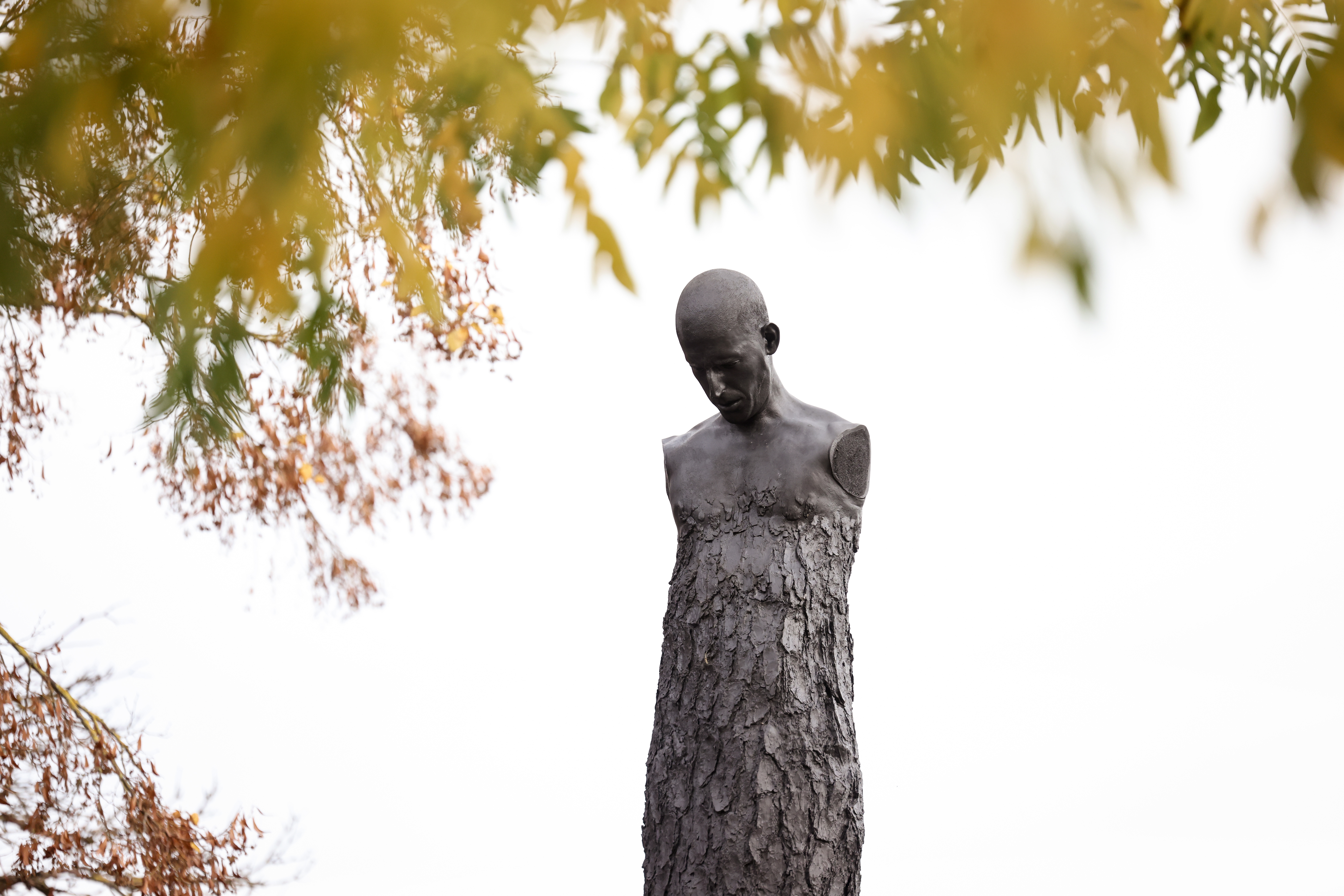 20241020 Sculptures 38