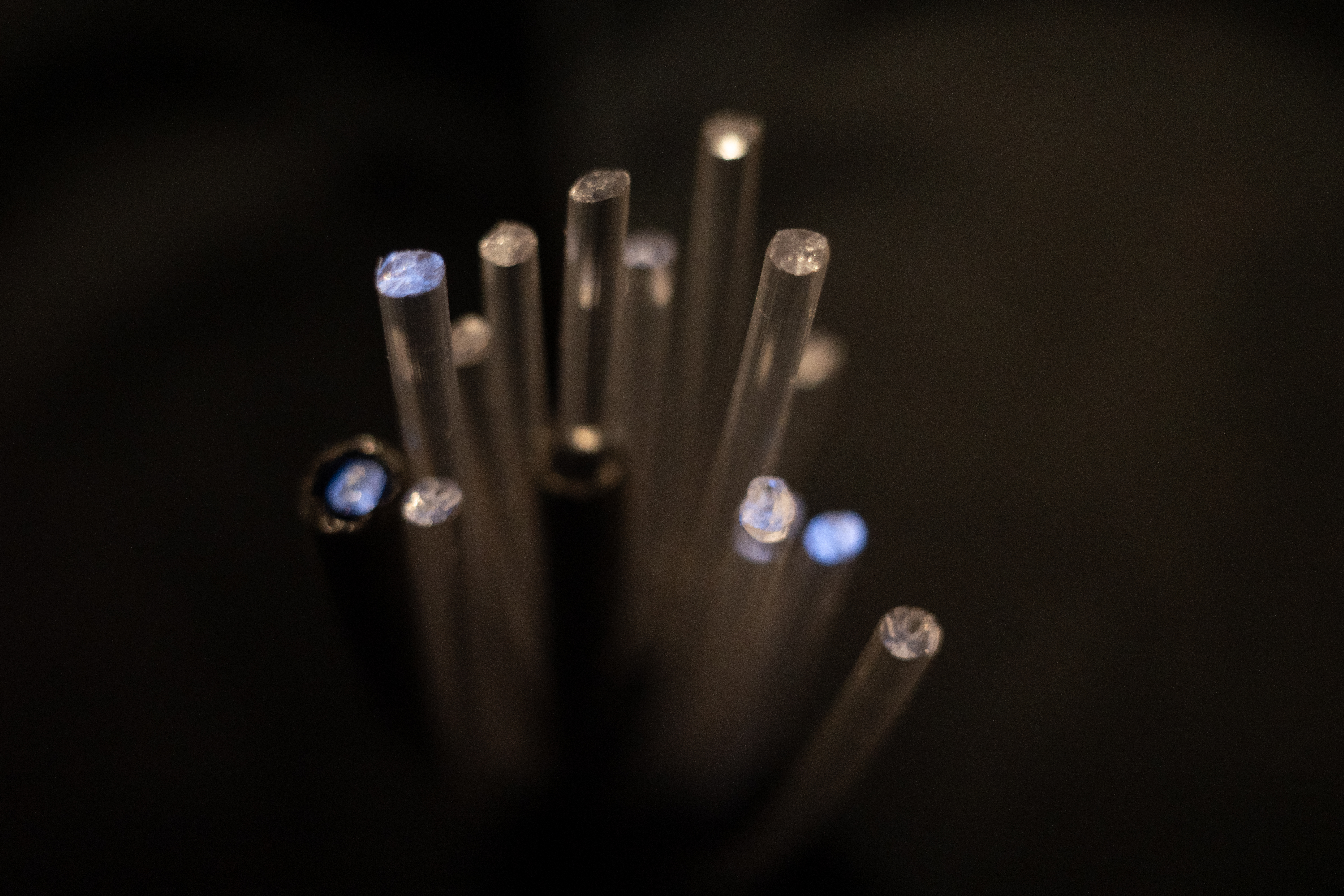 Emma Dupre The Luxlux Progress Shot Credit Casino Luxembourg