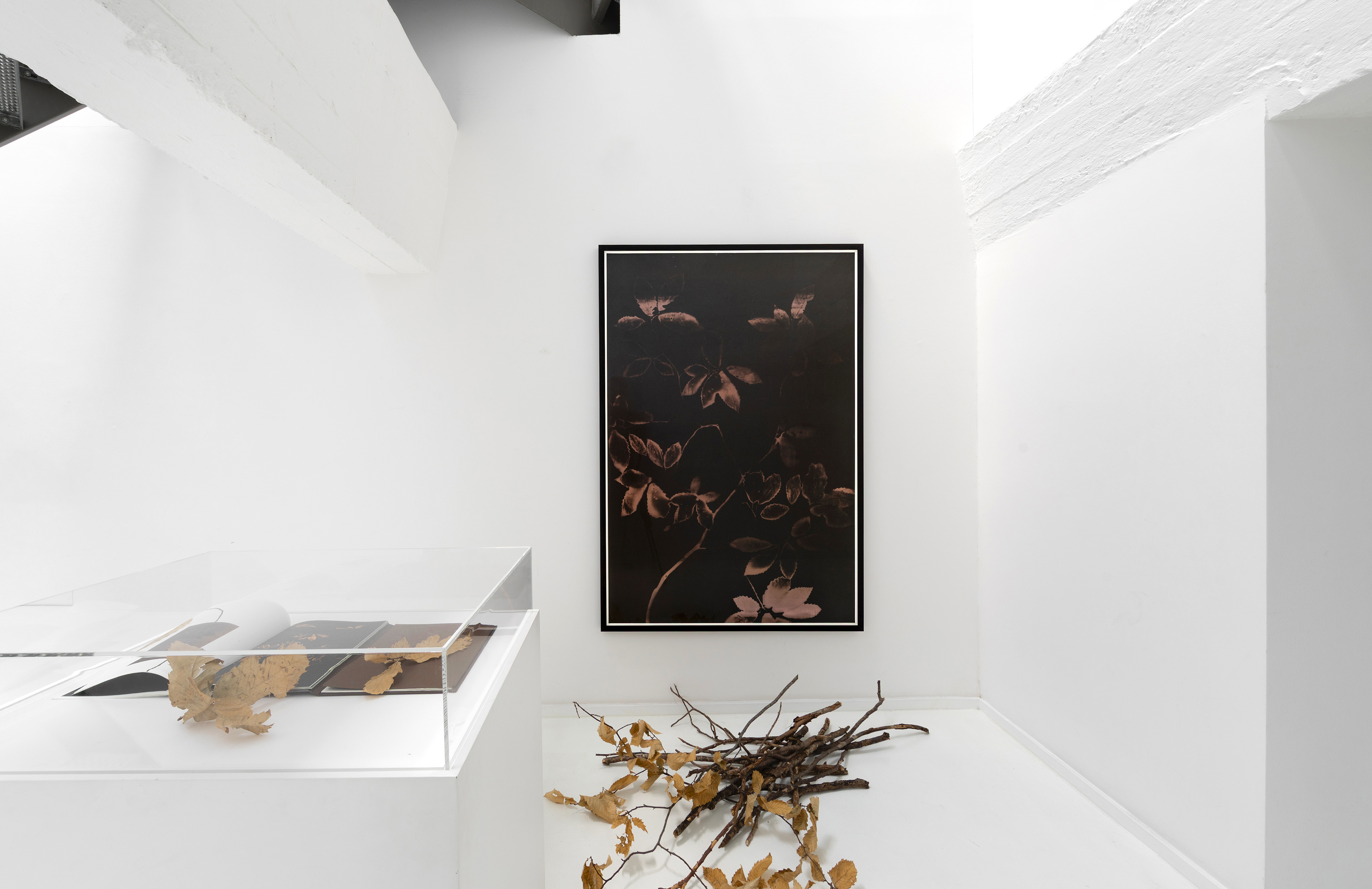 2976 01 Exhibition View Sophie Zenon Exhibition View Les Replis Du Temps Photo Brussels Festival 2026 Photo Sebastian Schutyser Courtesy Of The Artist Lee Bauwens Gallery