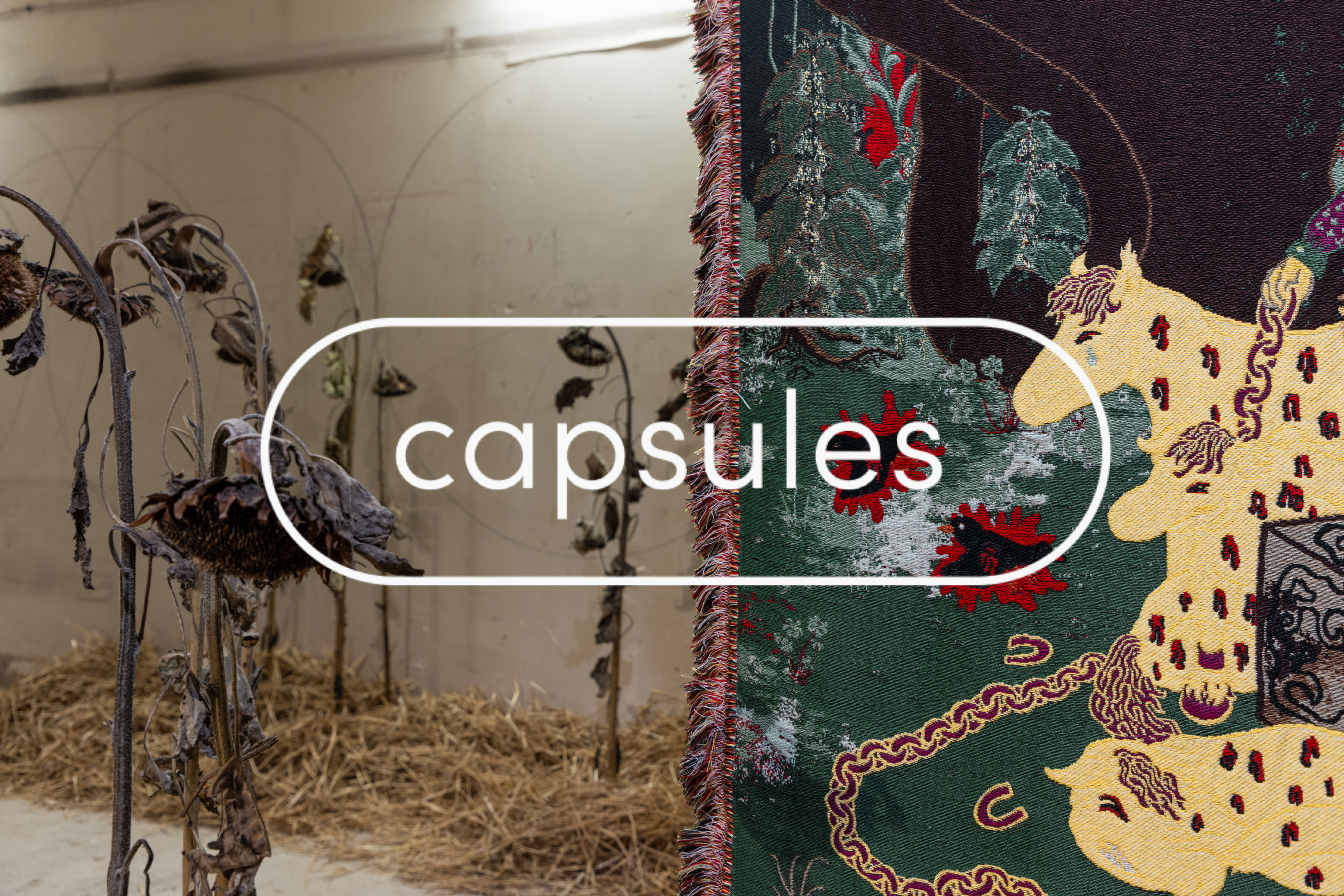 Capsules Call