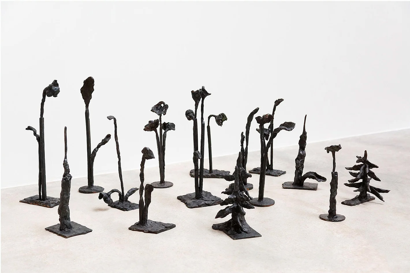 Instant De Paysage Nicolas Schneider Galerie East2