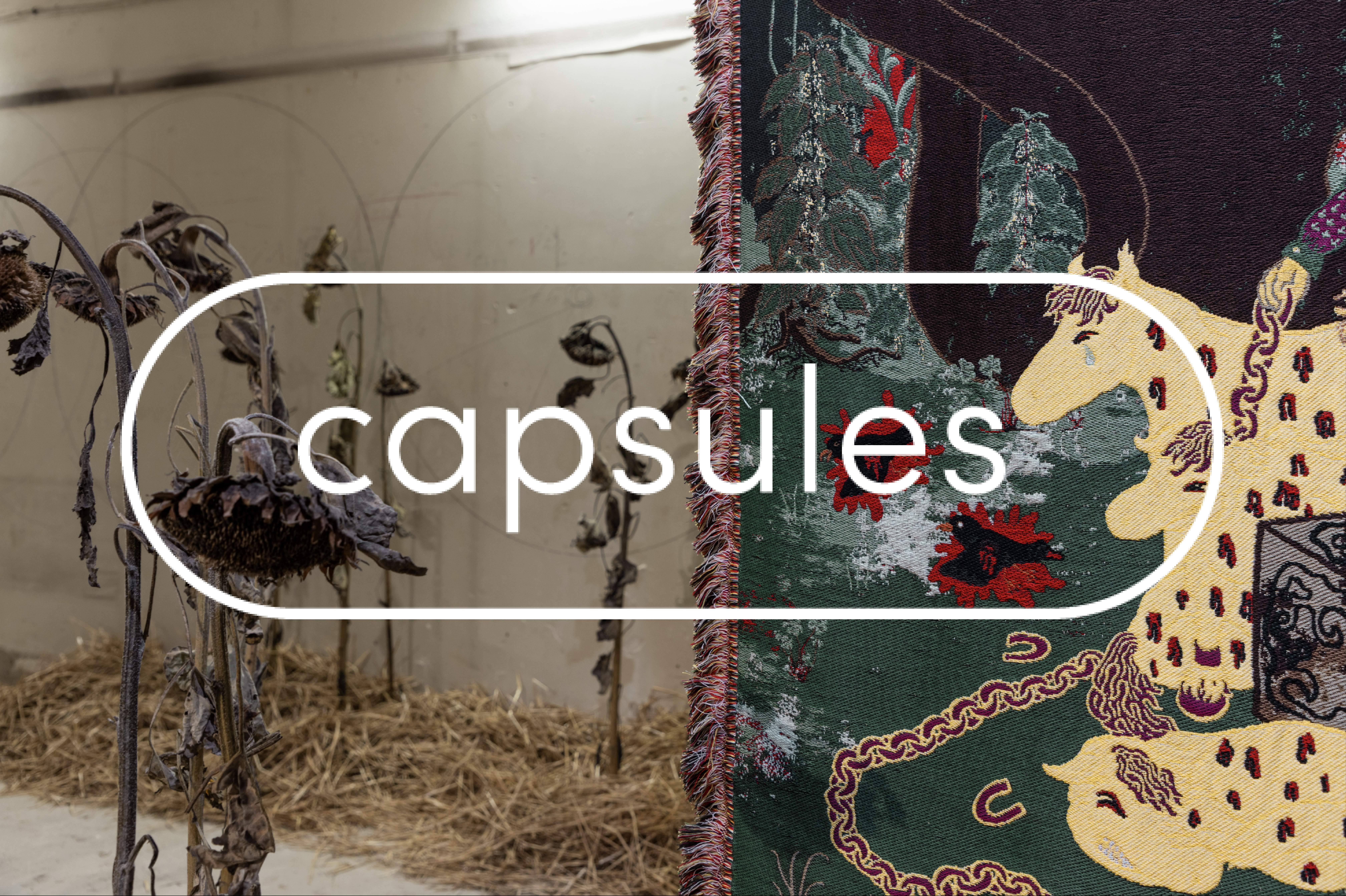 Capsules I Open Call 2026