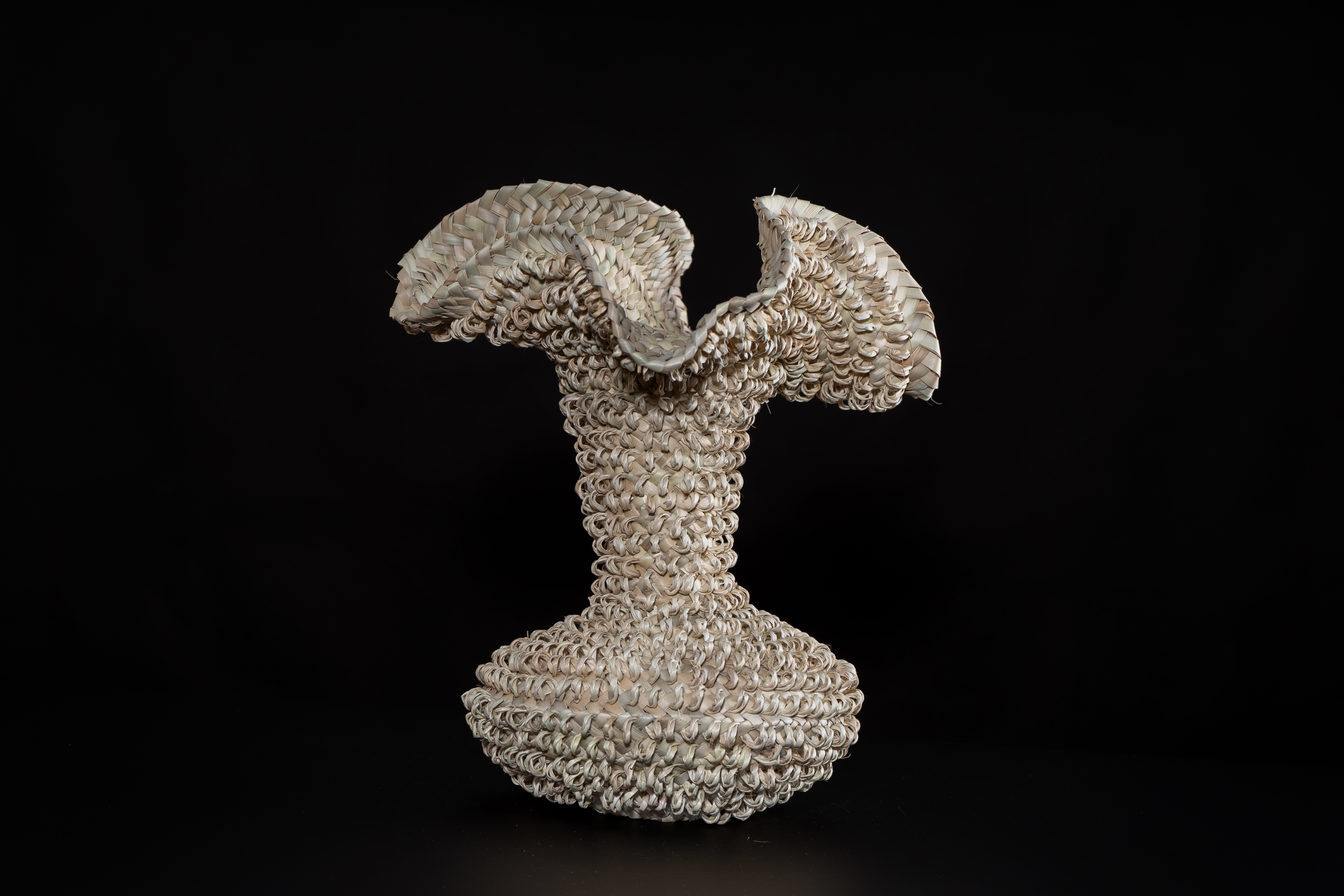 © Creative Media Studio