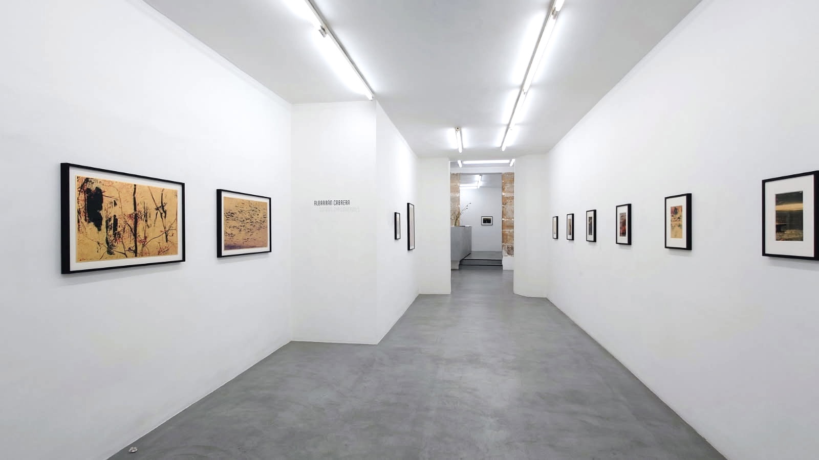 1801 Exhibition View Alabarran Cabrera 01