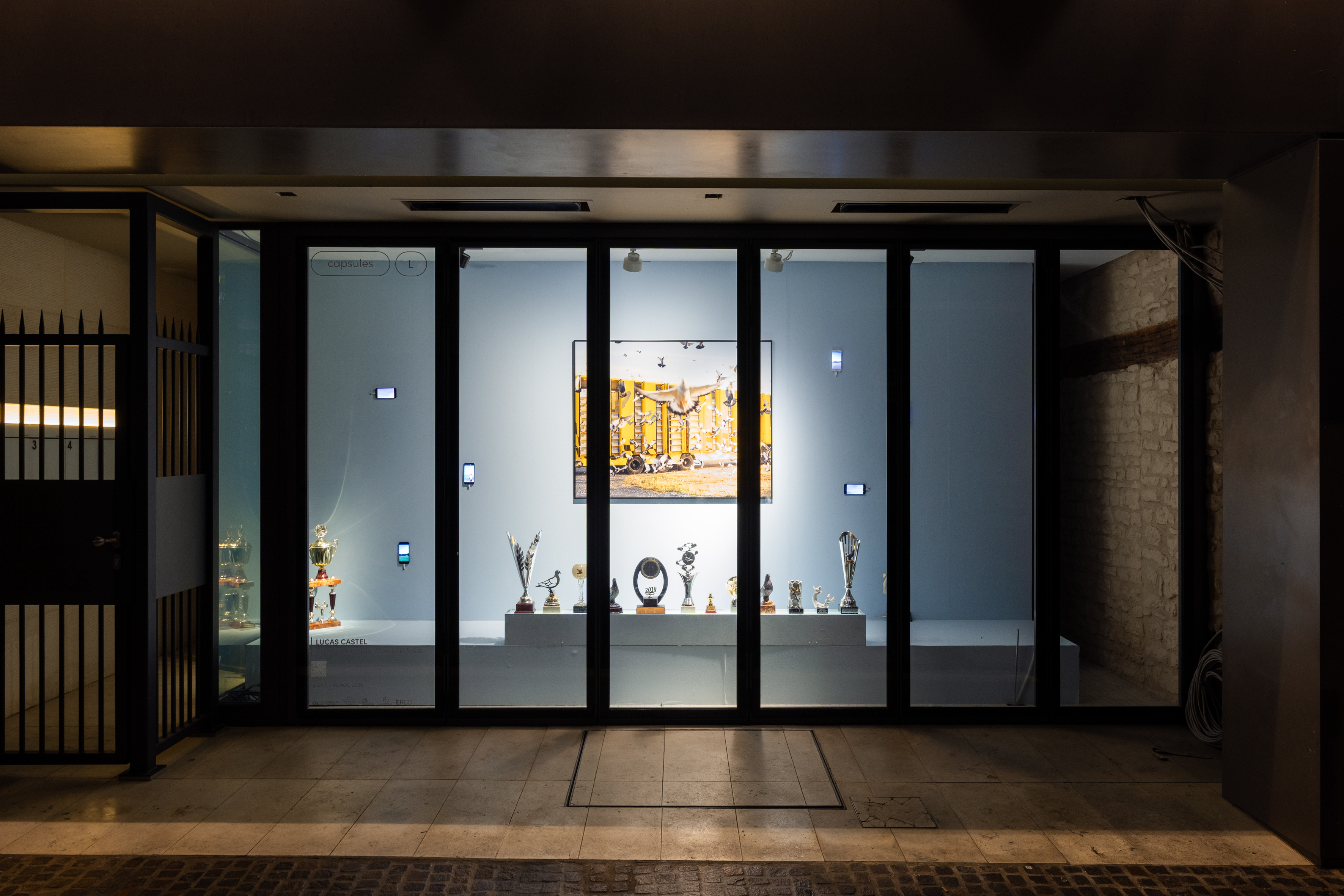 Lucas Castel, Pigeon Paradise, One Loft Race, Art Walk 2026 © Patty Neu 3