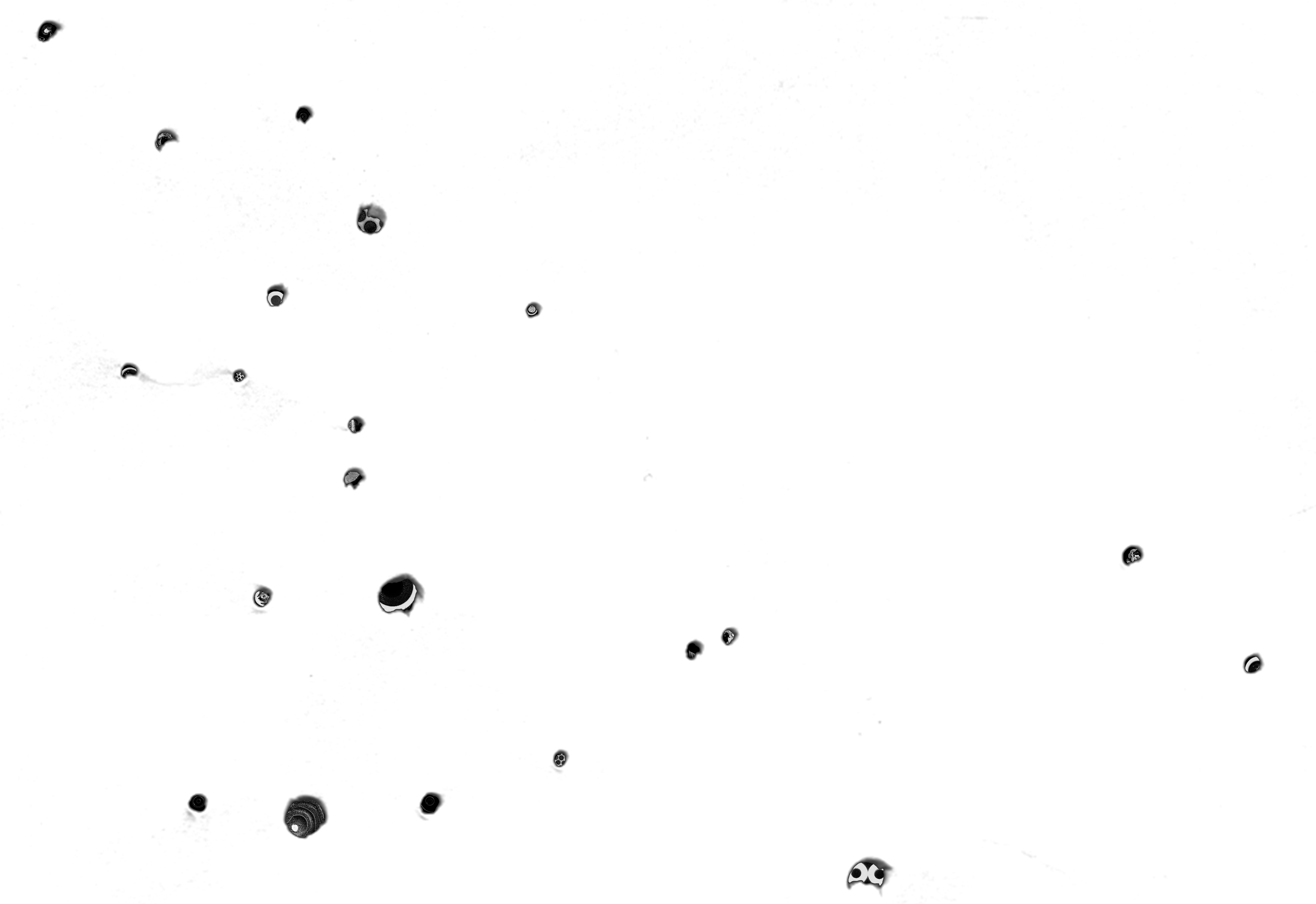 Black Air Composite Image By Amelia Licavoli 2024 Rsz