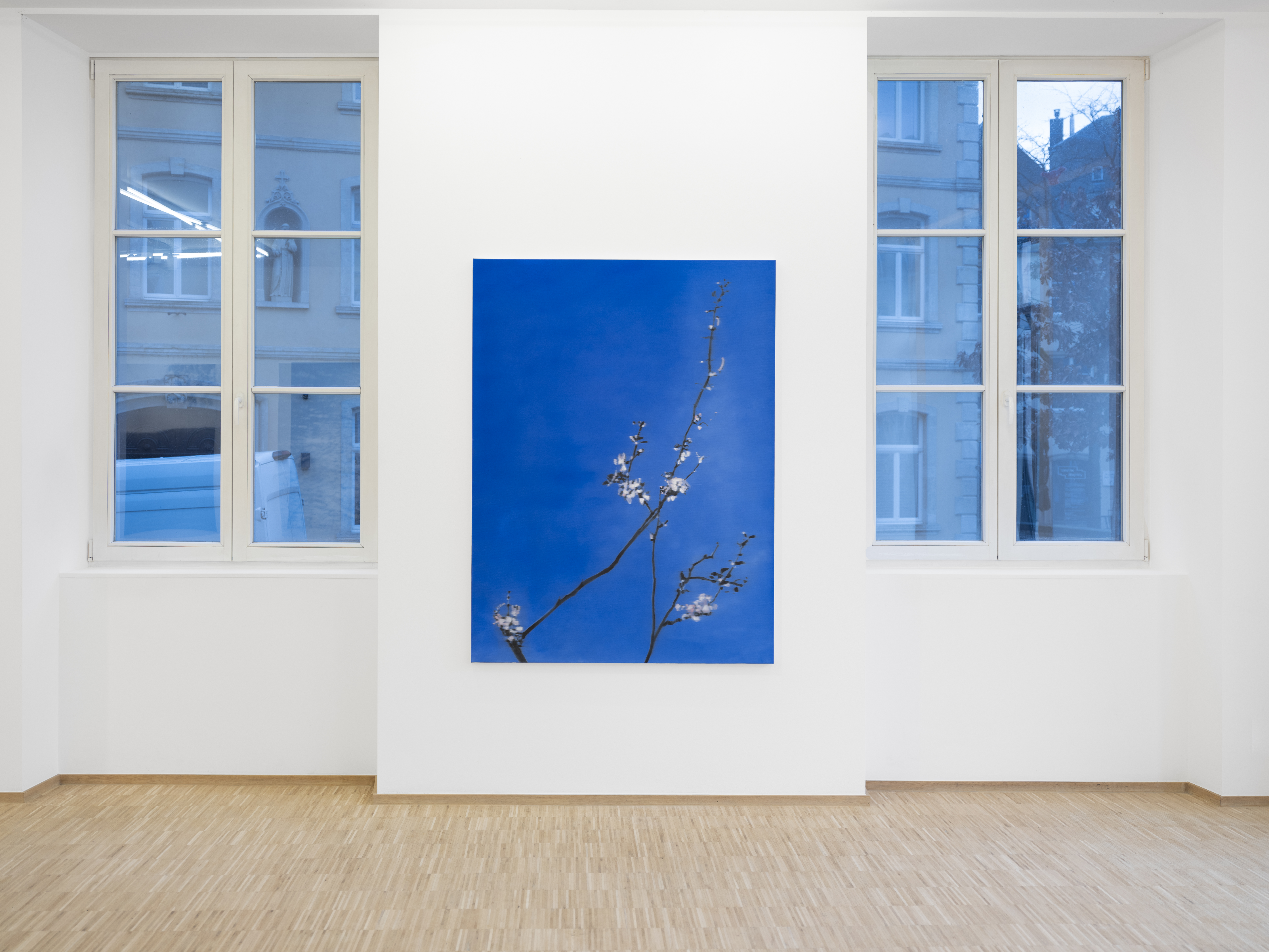 11 Views Echo Jkb Fletcher Nrlux 2025 Copy