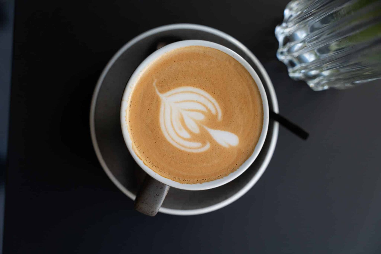 Doforloave Header 1536x1023