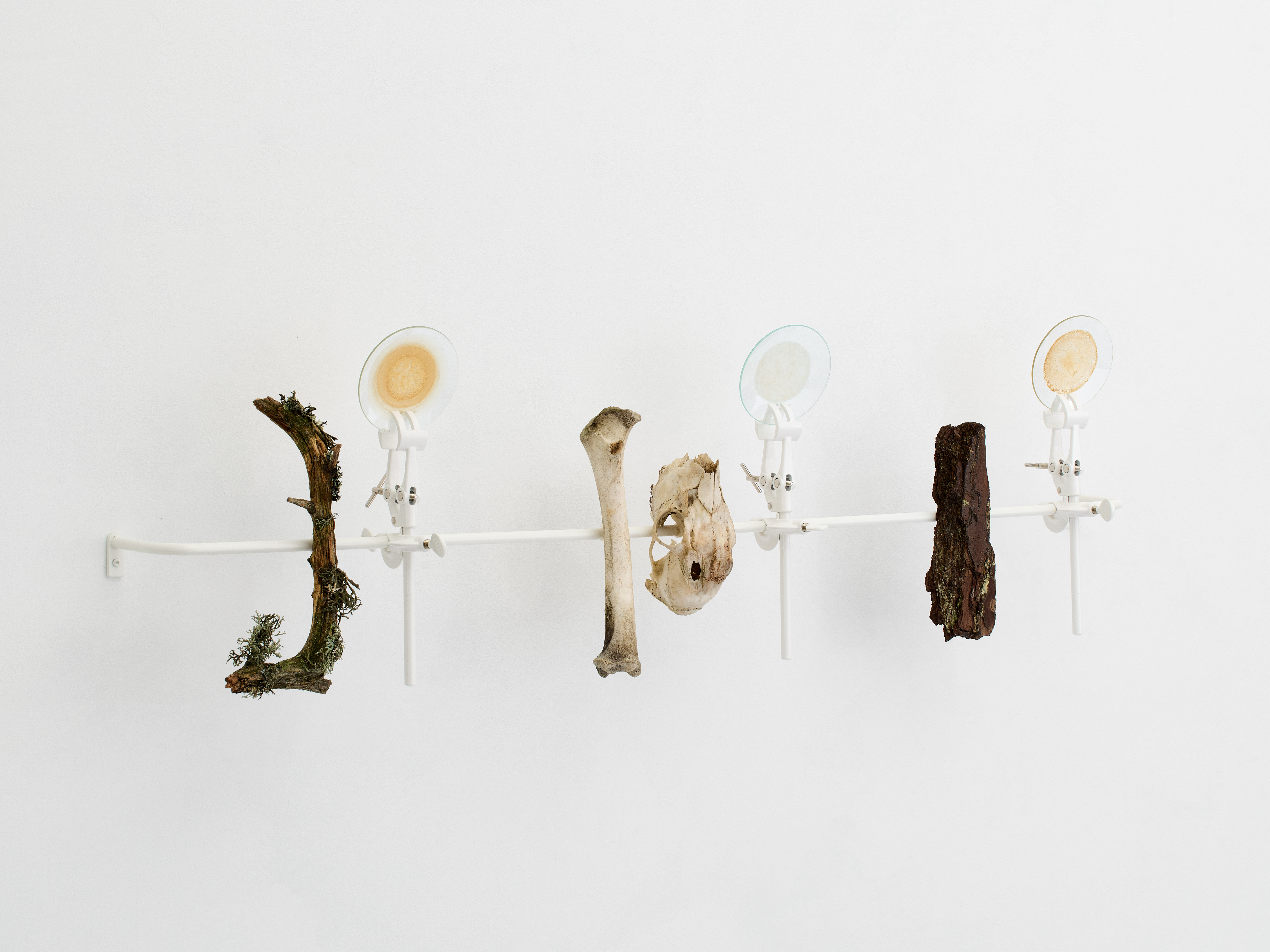 Elsa Salonen Heavenly Wooded Area (Coloursheds III) © Joe Clark