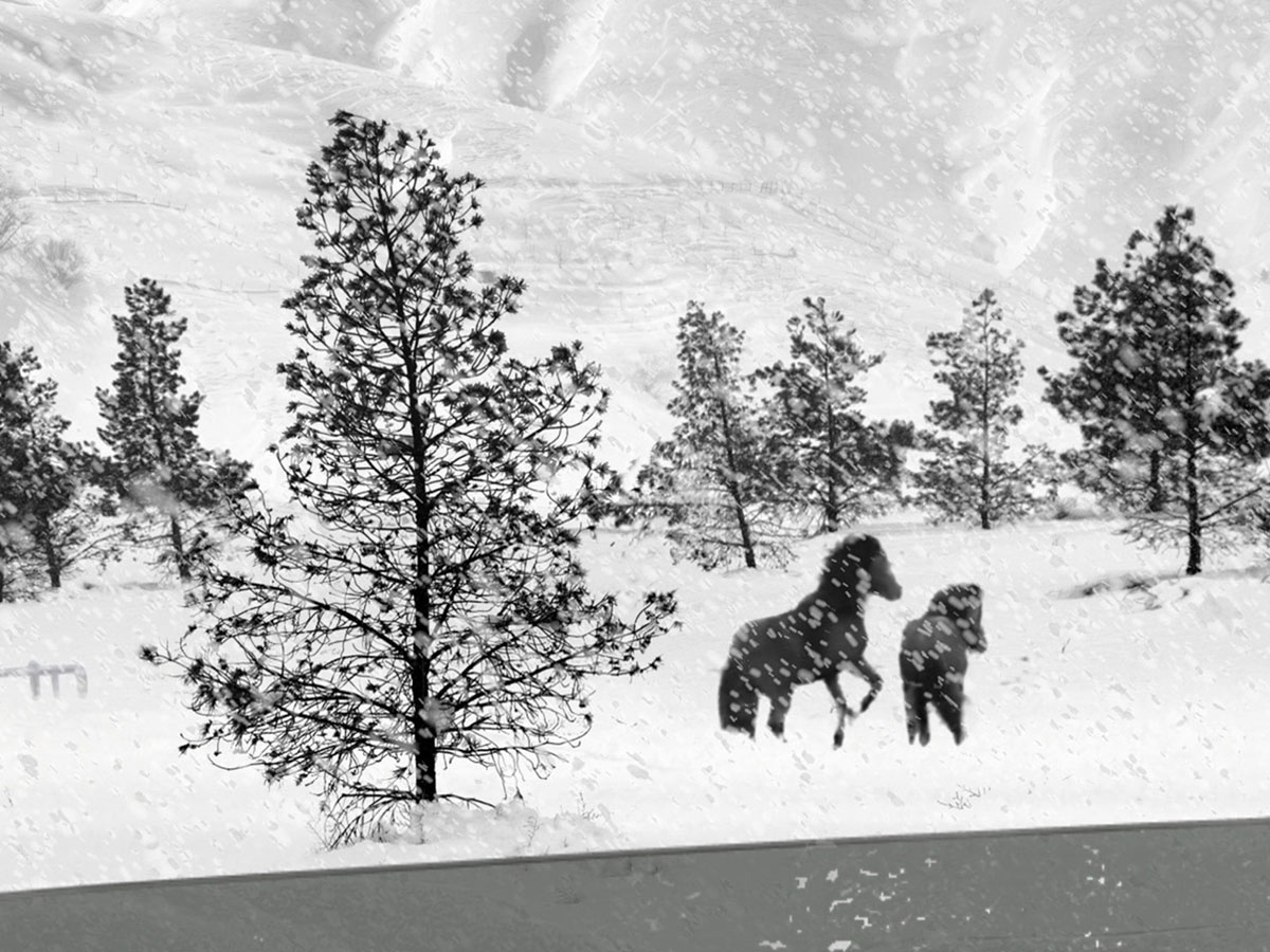 24 frames_Kiarostami