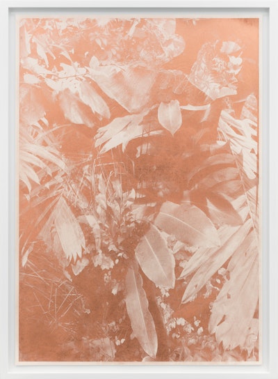 Roman Moriceau, Botanische Garten (Meise), 2018, silkscreen print made with copper, 107.5 x 77.5x 4 cm, Ed. 3 © Regular Studio