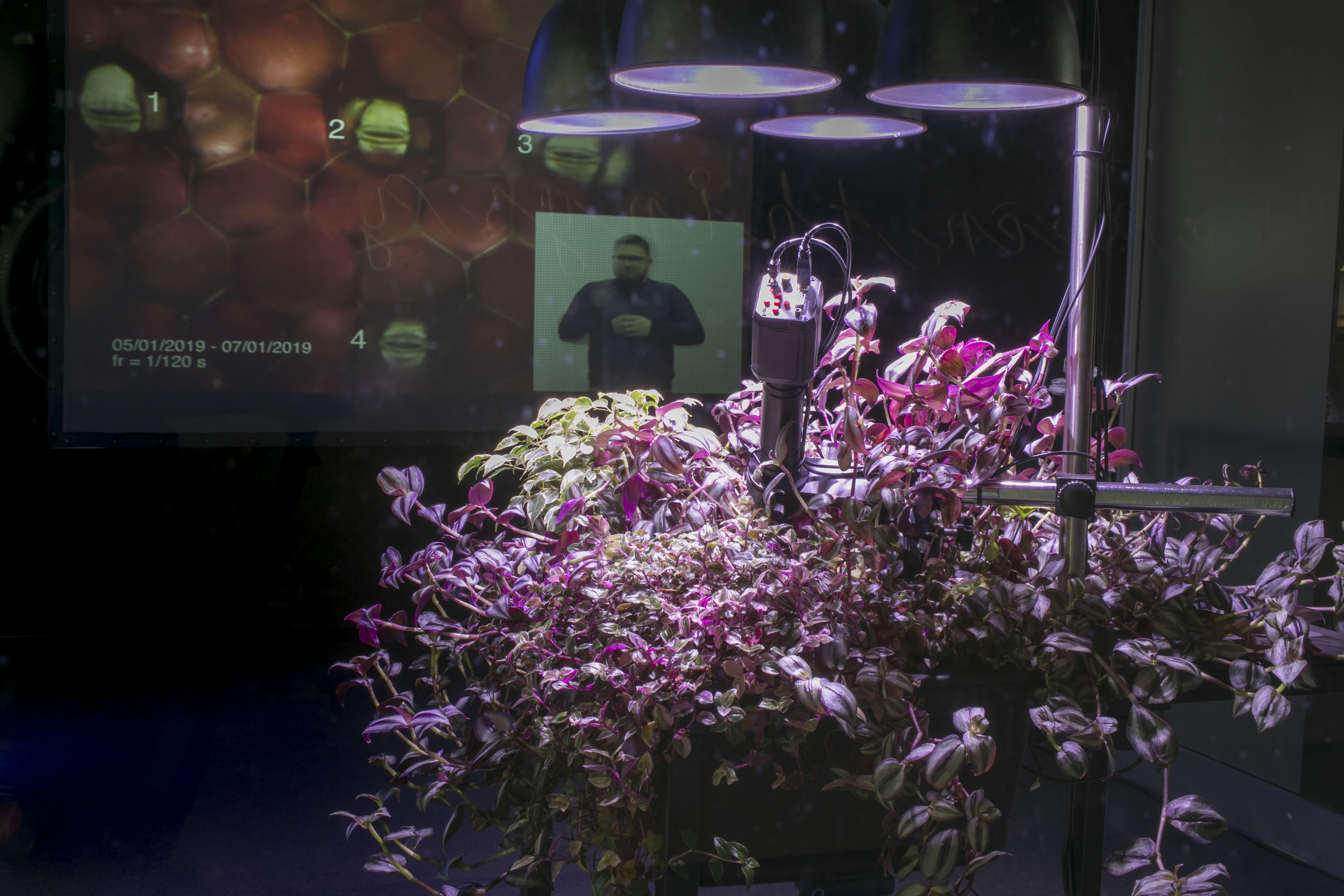 08 Špela_Petrič_Reading_Lips_2018_photo@Miha_Fras_presented@Kersnikova